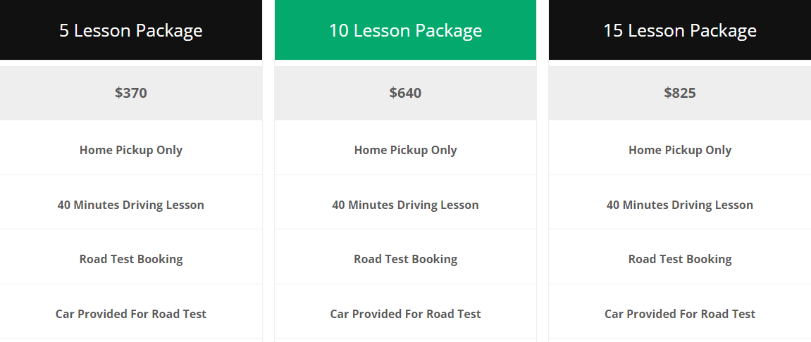 Best Driving School in the Bronx